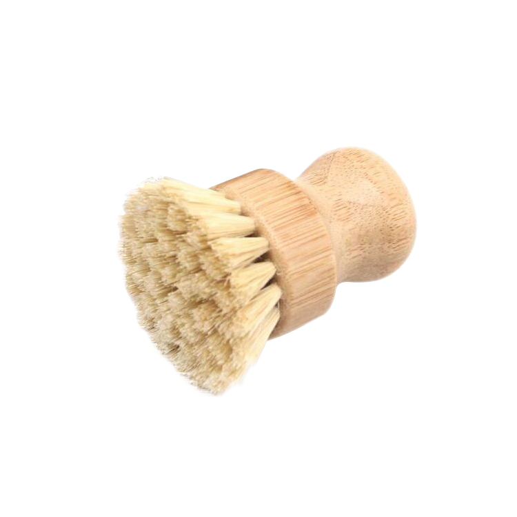 Biodegradable Dish Brush