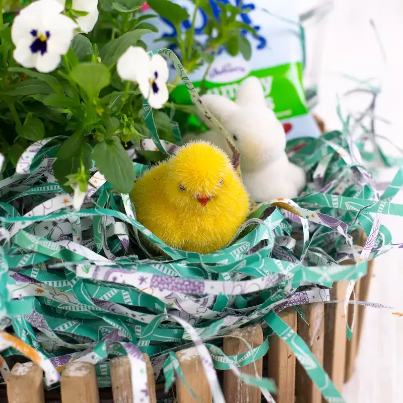 Eco Gift Bag or Basket Filler